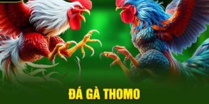 da-ga-thomo-88clb-san-choi-uy-tin-hien-nay