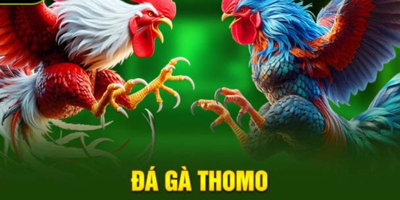 da-ga-thomo-88clb-san-choi-uy-tin-hien-nay